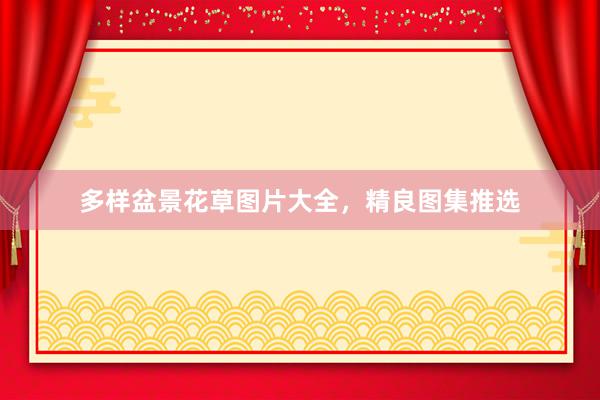 多样盆景花草图片大全，精良图集推选
